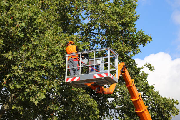 Best Utility Line Clearance  in Ramtown, NJ